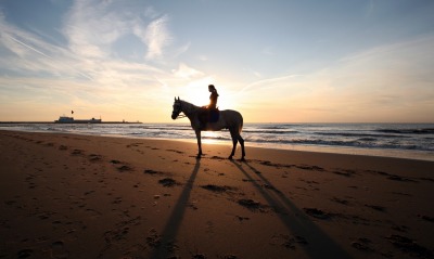 Лошадь на берегу закат