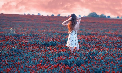 девушка поле тюльпаны в платье