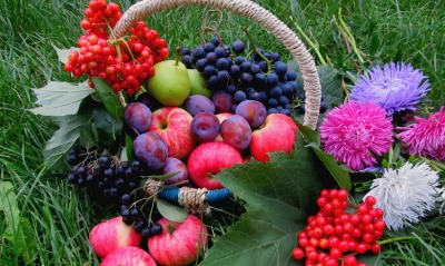 фрукты с ягодами