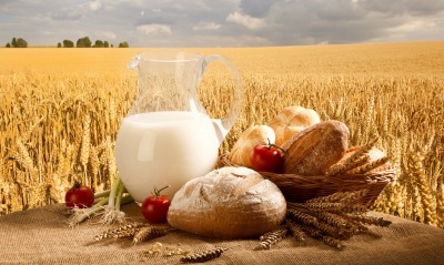 молоко, пшеница