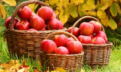 красные яблоки, плетеные корзины