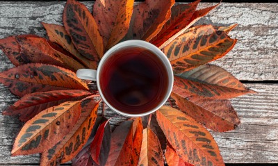 чай, листья