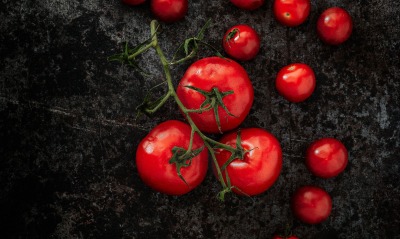 томаты помидоры на ветке