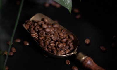 кофейные зерна, арабика