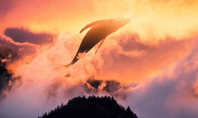 кит облака фантастика дымка