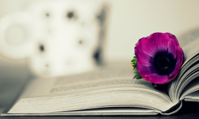 цветы, книга