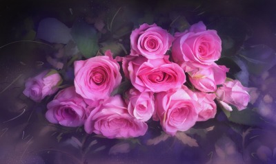 цветы, розы