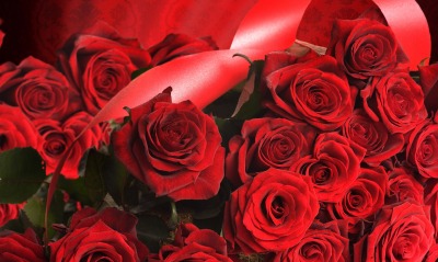 розы букет красный бордовый