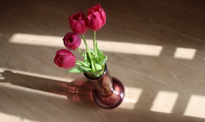 тюльпаны, ваза