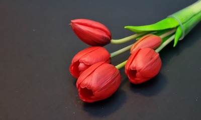 тюльпаны красные поверхность