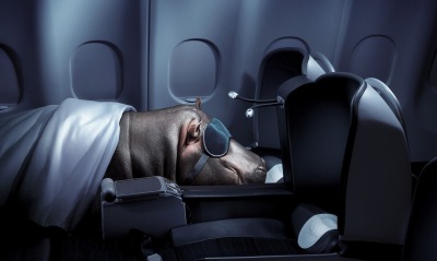бегемот самолет спит