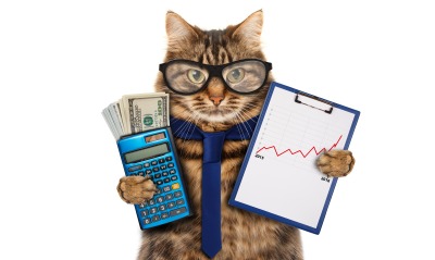 кот, калькулятор