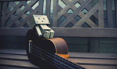 Коробочка на гитаре