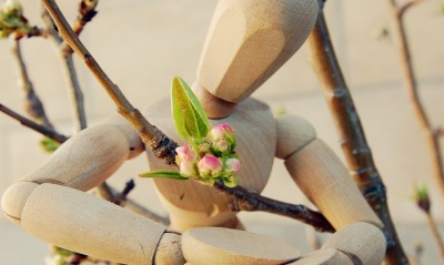 Деревянный робот с цветком