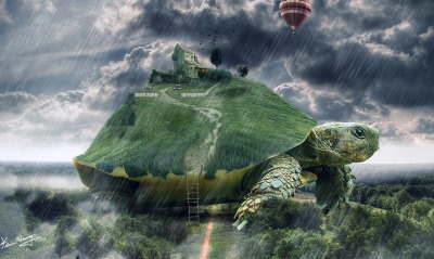 Черепаха, дом, шар, дождь, лес, туман