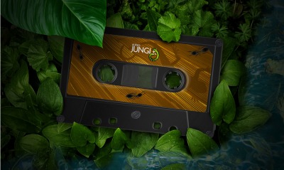Jungle Audio