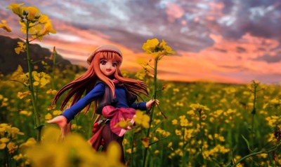 Девочка,цветы,поляна