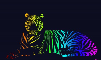 тигр, цветной