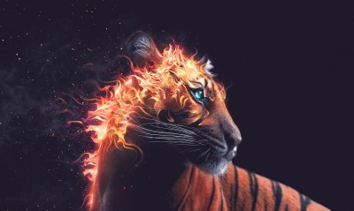 тигр, огонь