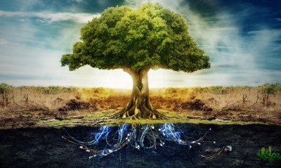 дерево корни земля разряд