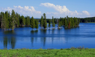 озеро, лес