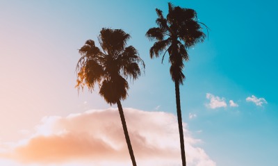 пальмы, небо