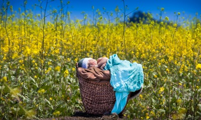 Малыш в поле цветов