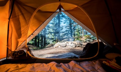 палатка, отдых, лес