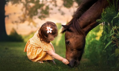 девочка лошадь лужайка