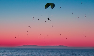 парашют на закате силуэт море птицы
