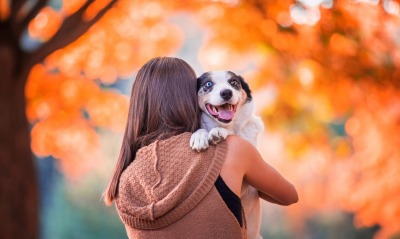 девушка с собакой осень деревья размытость