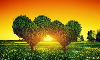 сердце, деревья