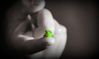 маленькая жаба, рука