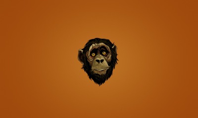 морда обезьяна минимализм muzzle monkey minimalism