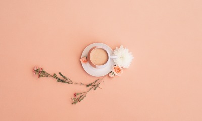 чашка цветок минимализм