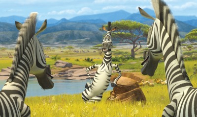 зебры, мадагаскар