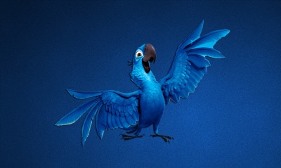 рио, синий попугай