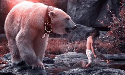 медведь, белый