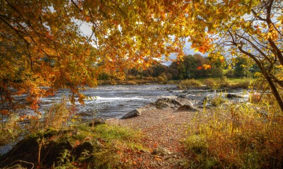 река, осень