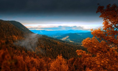 склон гора высота осень листья