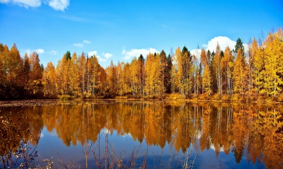 осень озеро отражение лес