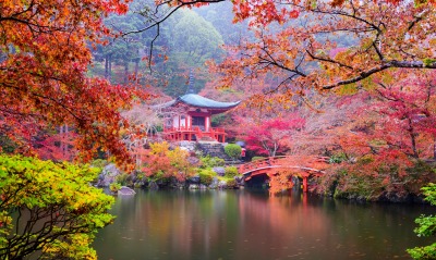 япония осень водоем деревья ветви