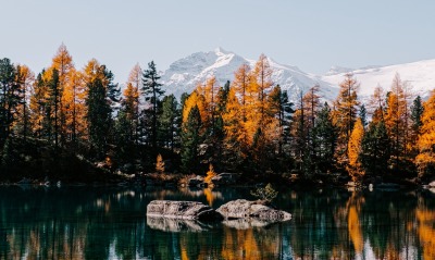 озеро водоем деревья осень горы