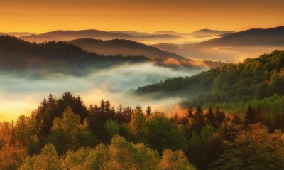 холмы лес на рассвете туман