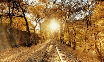 железная дорога, осень