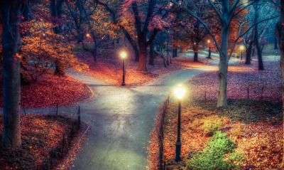 осень парк деревья листва фонари