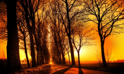 заход солнца дорога деревья