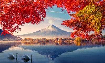 озеро лебеди вулкан осень