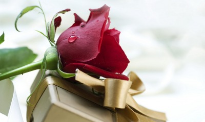 Роза и подарок
