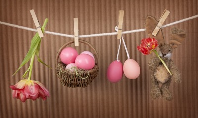цветок, шары, корзина, игрушка, веревка